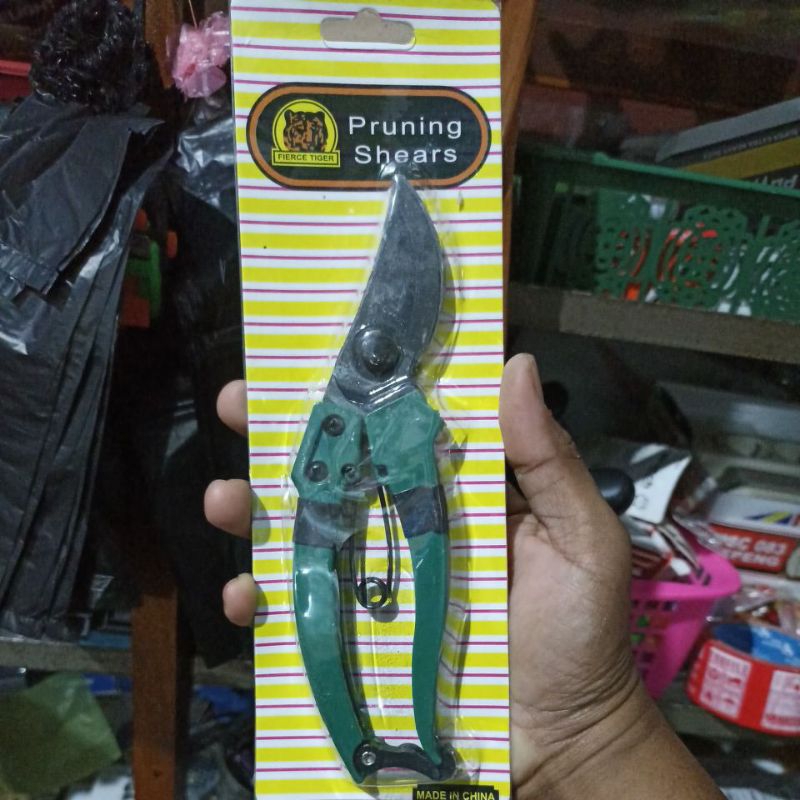 Gunting Dahan bengkok