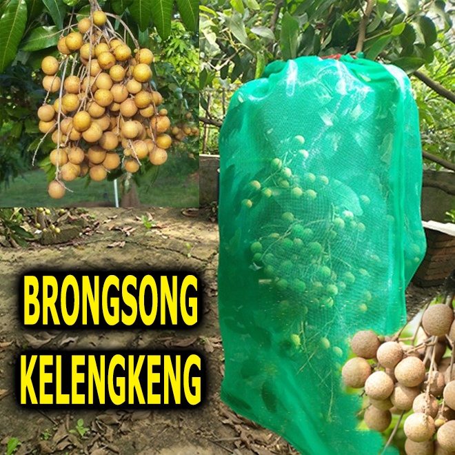 Brongsong Fruit Cover Pembungkus Buah Kelengkeng Besar