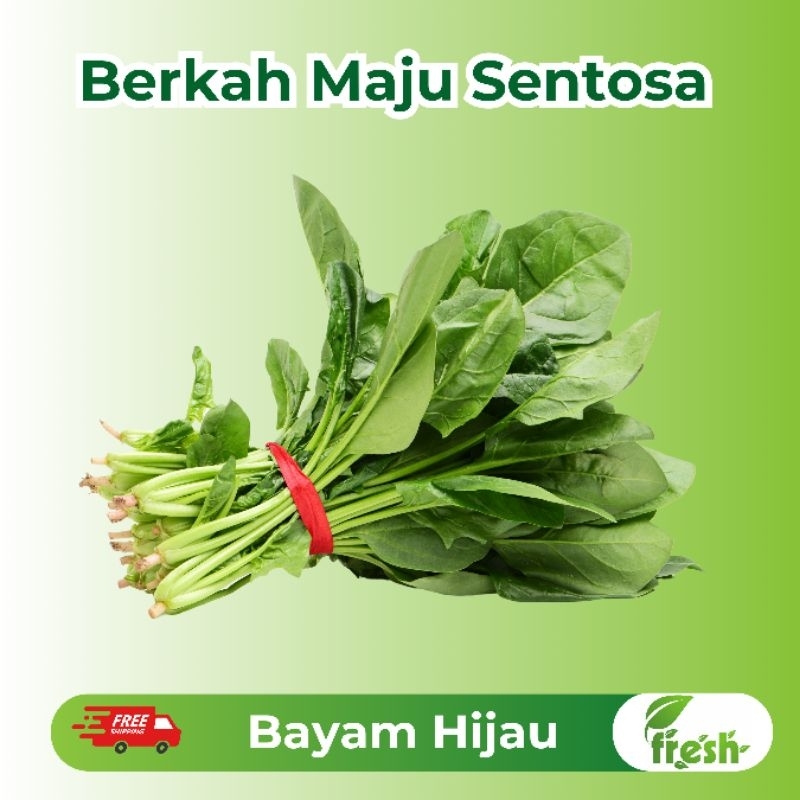 

[INSTANT] Bayam Hijau Fresh 1 ikat