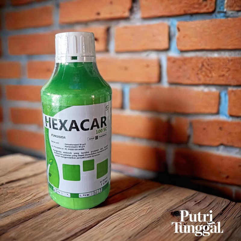 Hexacar 100SC fungisida sistemik