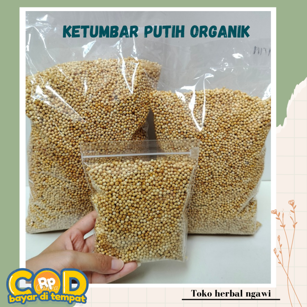 

KETUMBAR PUTIH GRADE A BAHAN MASAKAN / REMPAH