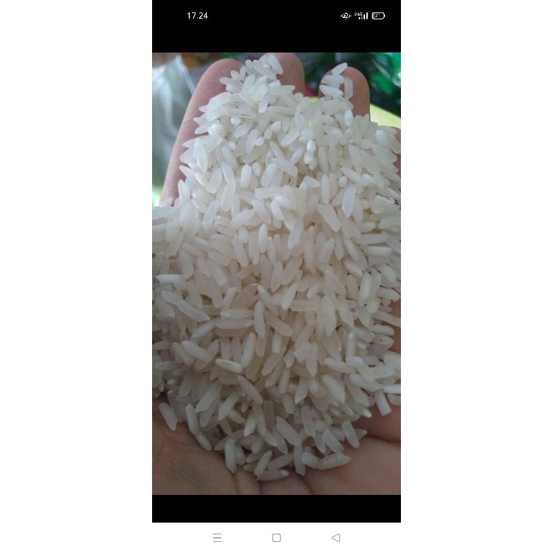 

beras selep asli 5kg