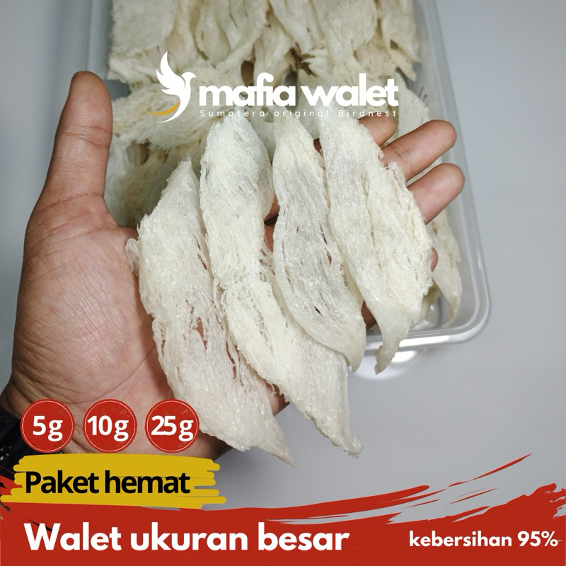 

Sarang walet bersih ukuran besar | kemasan 5-25 gram | Siap konsumsi | Walet asli Sumatera | Termurah | Mengandung kolagen