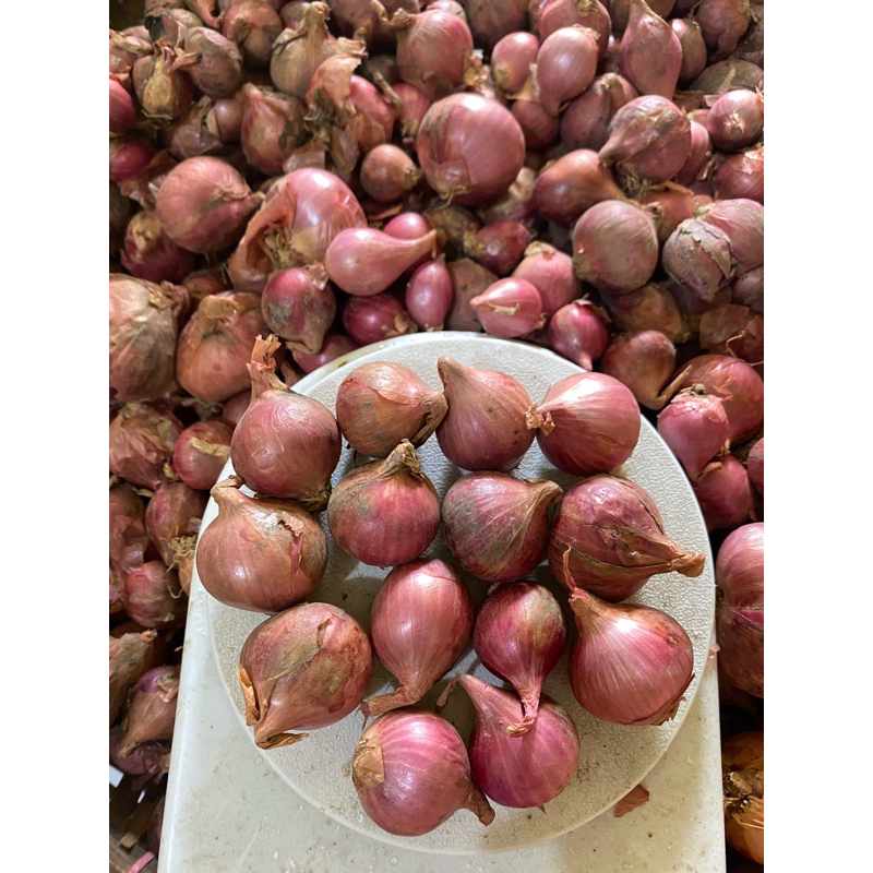 

BAWANG MERAH SUPER | BAWANG MERAH | BAWANG MERAH MAJALENGKA