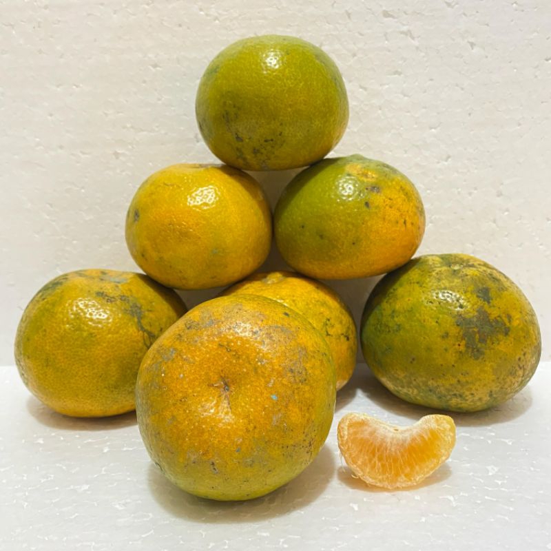 

Jeruk Brastagi 1kg/kondisi sudah kuning