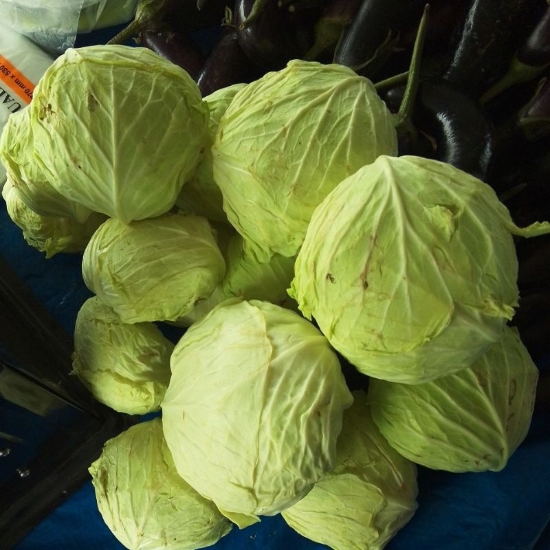 

Kol Bulat