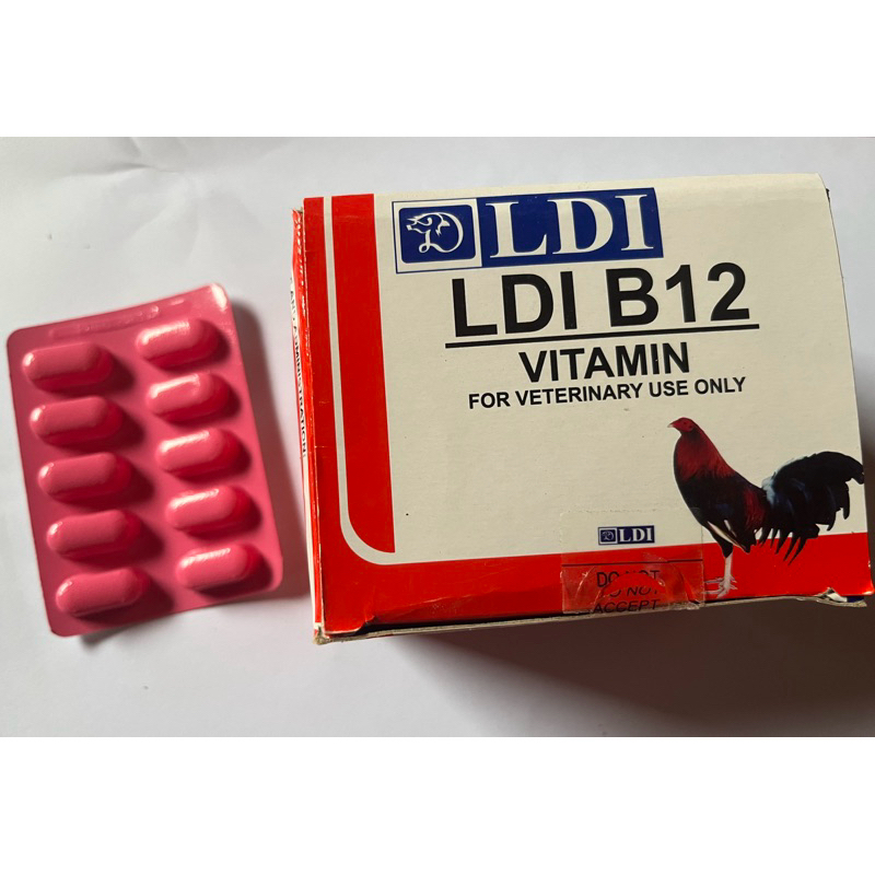 B12 LDI 10 tablet vitamin Ayam