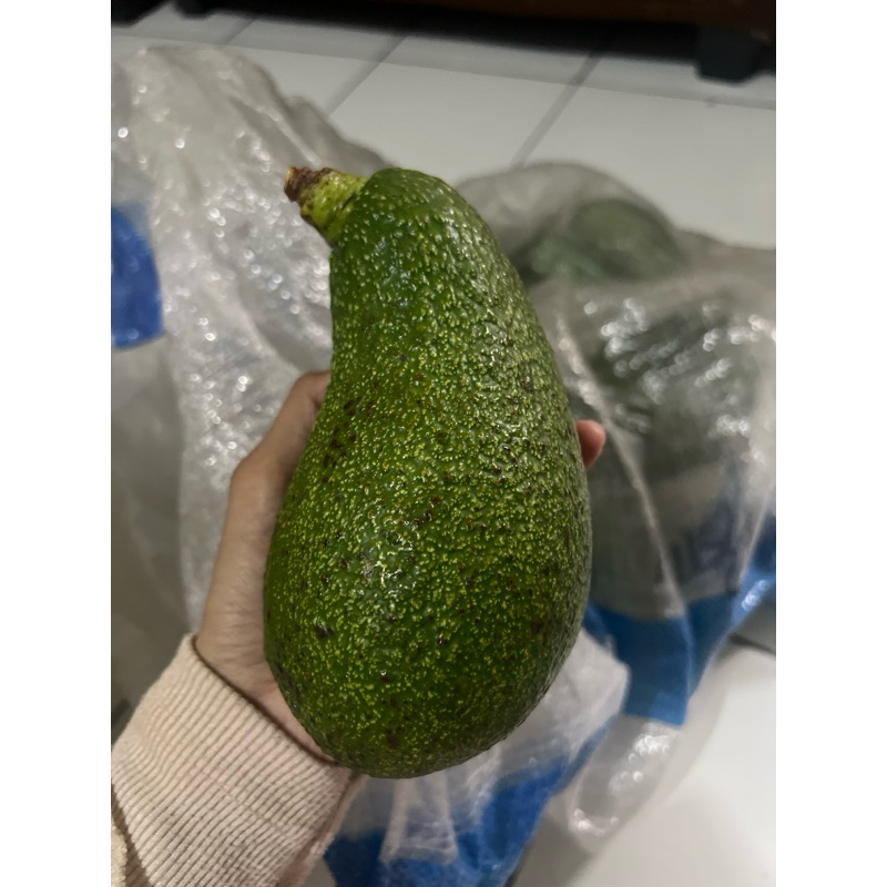 

Alpukat mentega reed