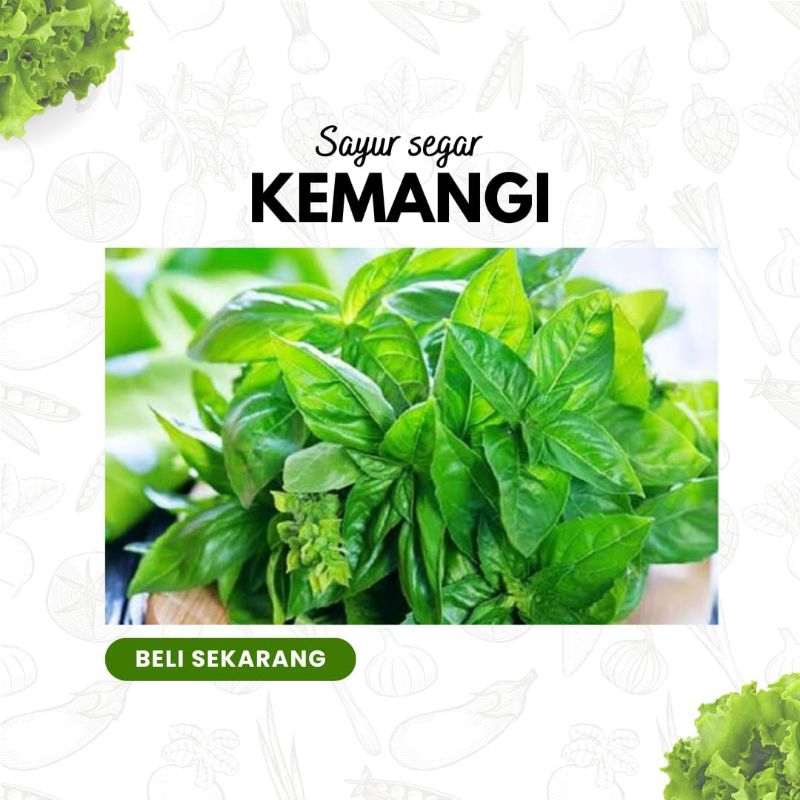 

SAYUR KEMANGI SEGAR 1 IKAT / SAYUR SEGAR FRESH SIDOARJO / BAKUL MLIJO SIDOARJO