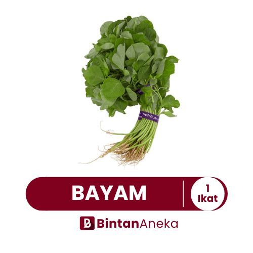 

Sayur Bayam Hijau Segar 1 Ikat