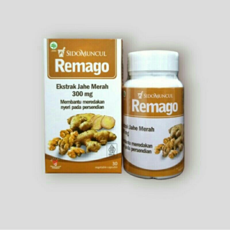 

REMAGO 30 KPSUL.