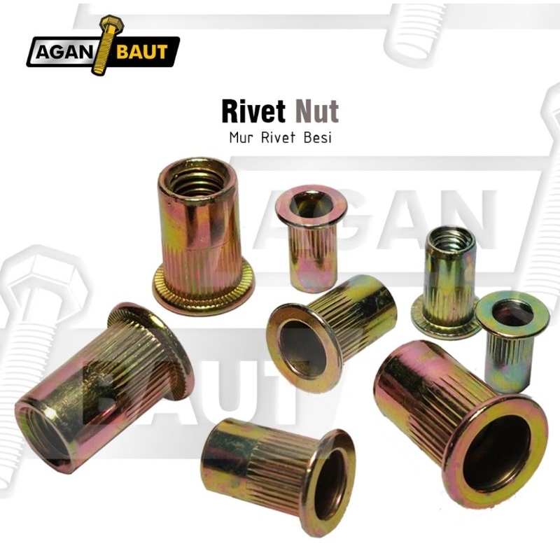 Mur Rivet Nut M6 / Mur Tanam
