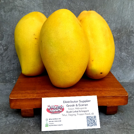 

HarvestMoon Mangga Dok Mai Thailand Per Kg