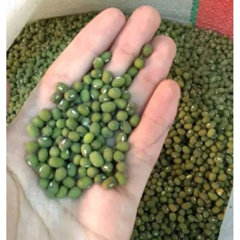 

Kacang hijau super Fress, Padang