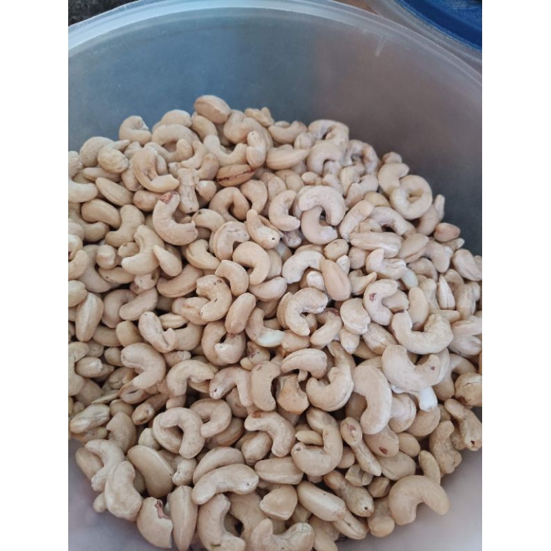 

kacang mente