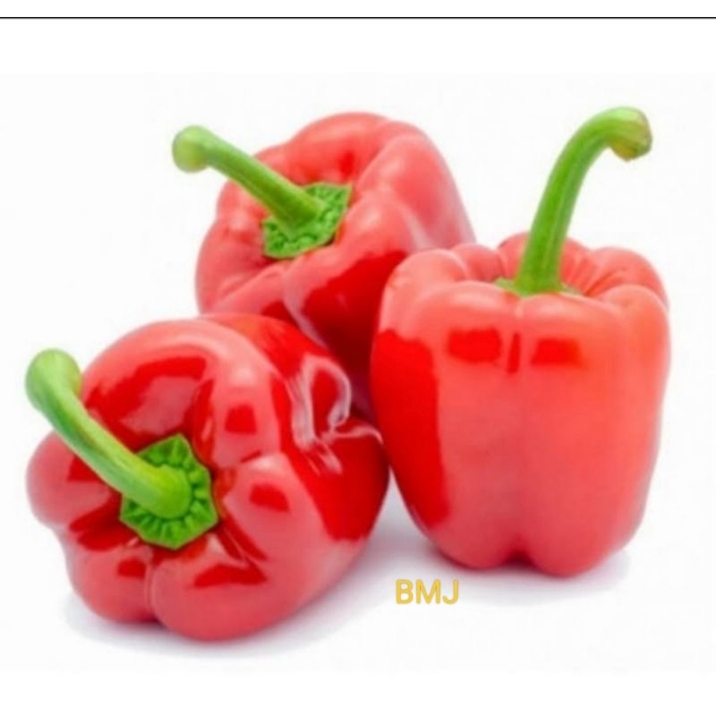 

Paprika merah segar