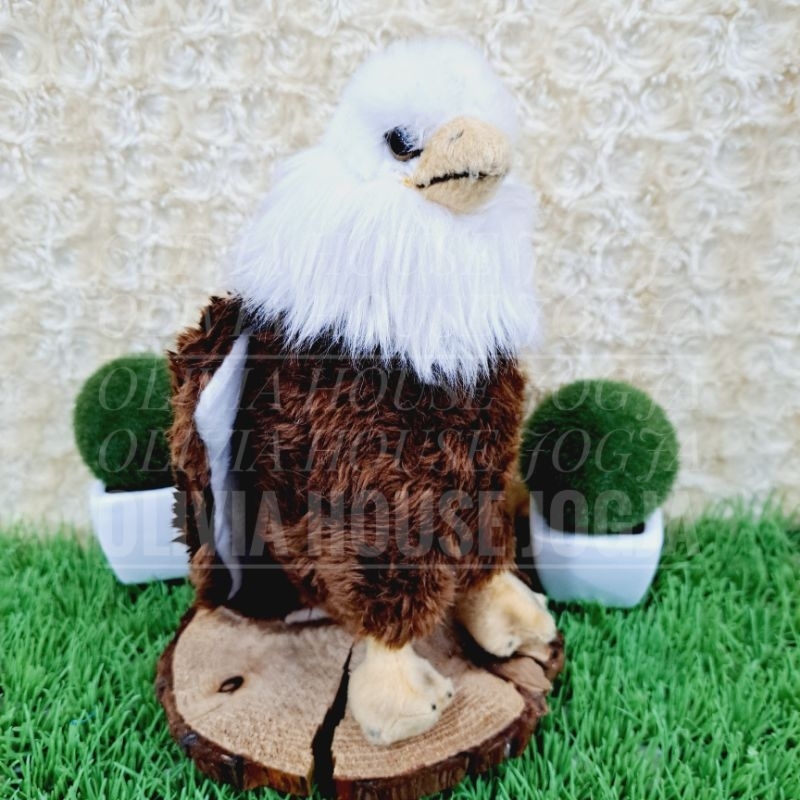 Boneka Elang Coklat Boneka Eagle Boneka Burung Elang Coklat Putih
