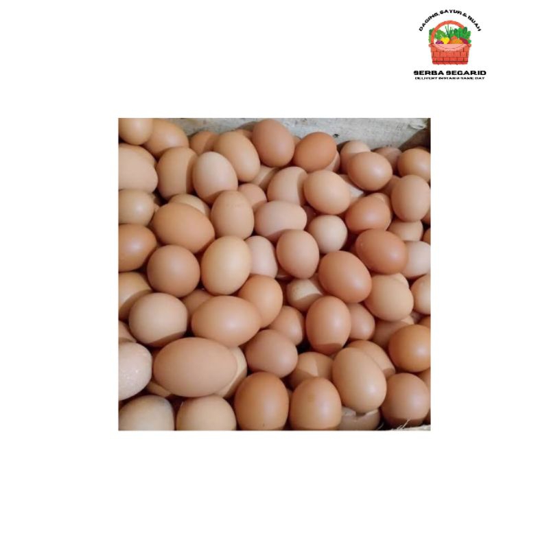 

Telur Ayam 10 Butir