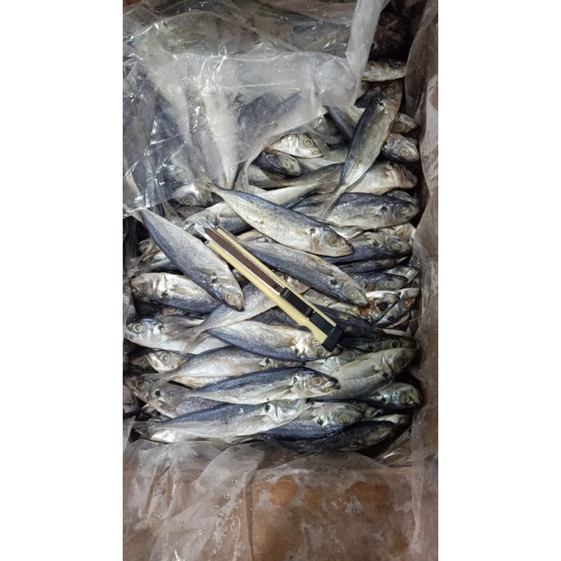 

Ikan asin layang / layang asin cop