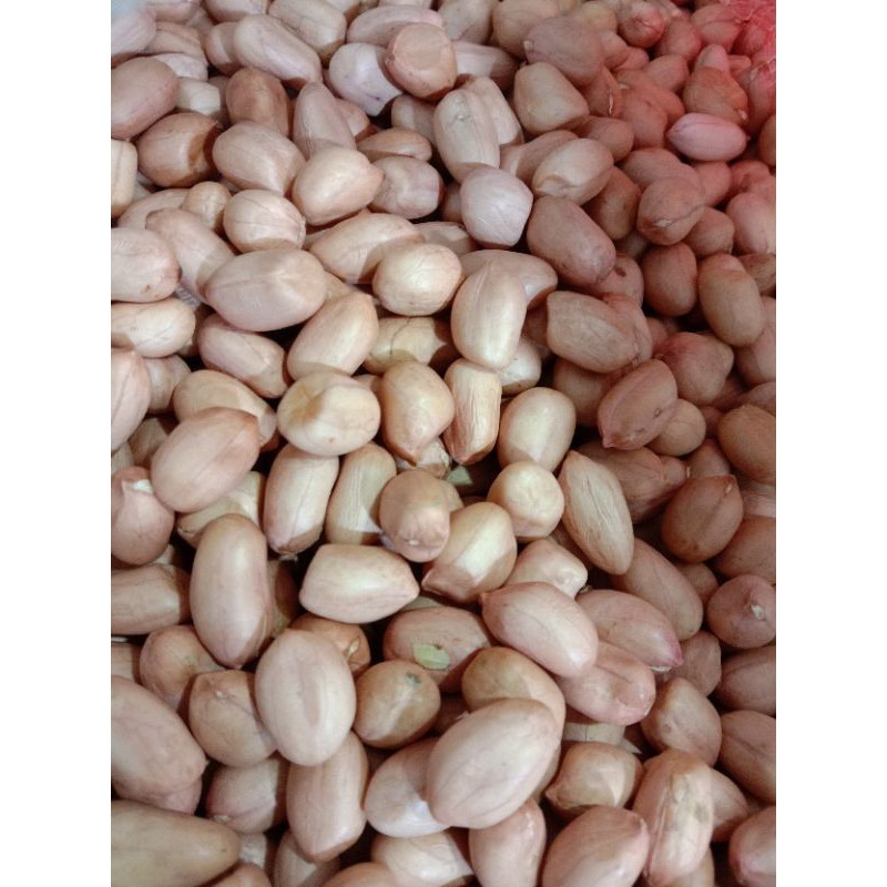 

RB 1 Kg - Kacang Tanah Premium Kualitas Super