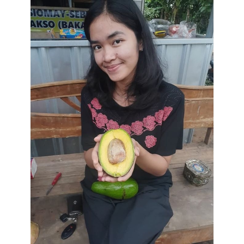 ENTRES ALPUKAT CUBA 100% VALID