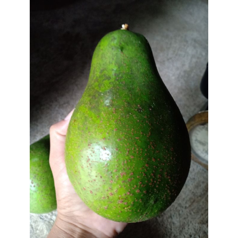 

Alpukat mentega 1kg (mentah) tua di jamin manis
