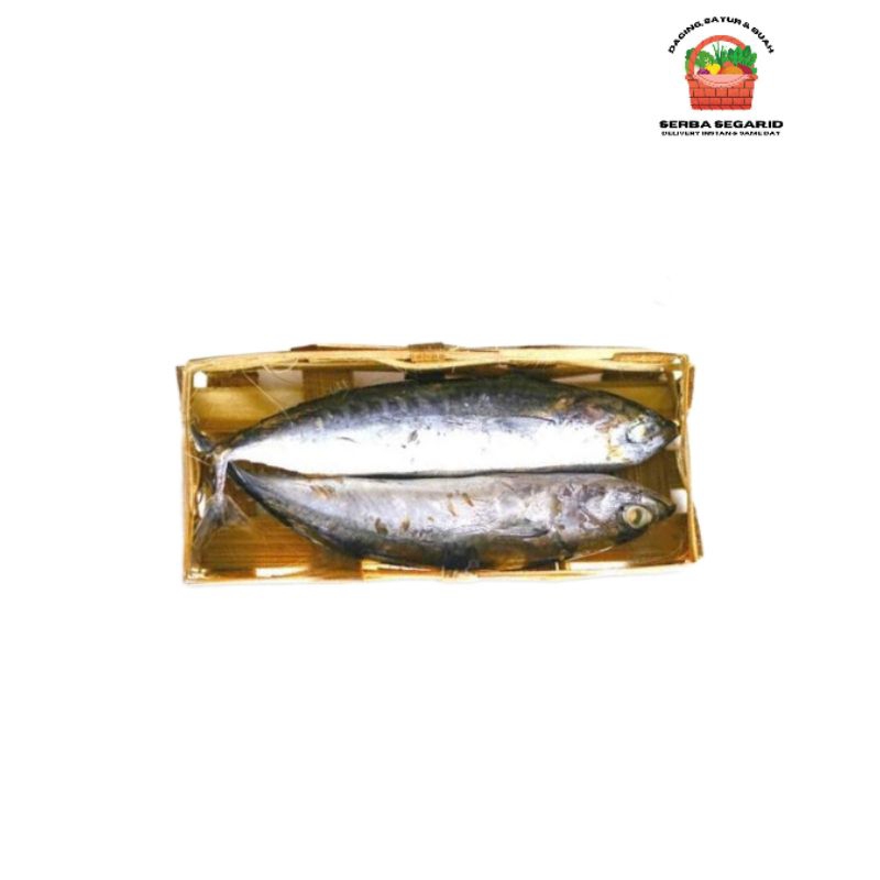 

Ikan Cue Keranjang 1 Pack Isi 2