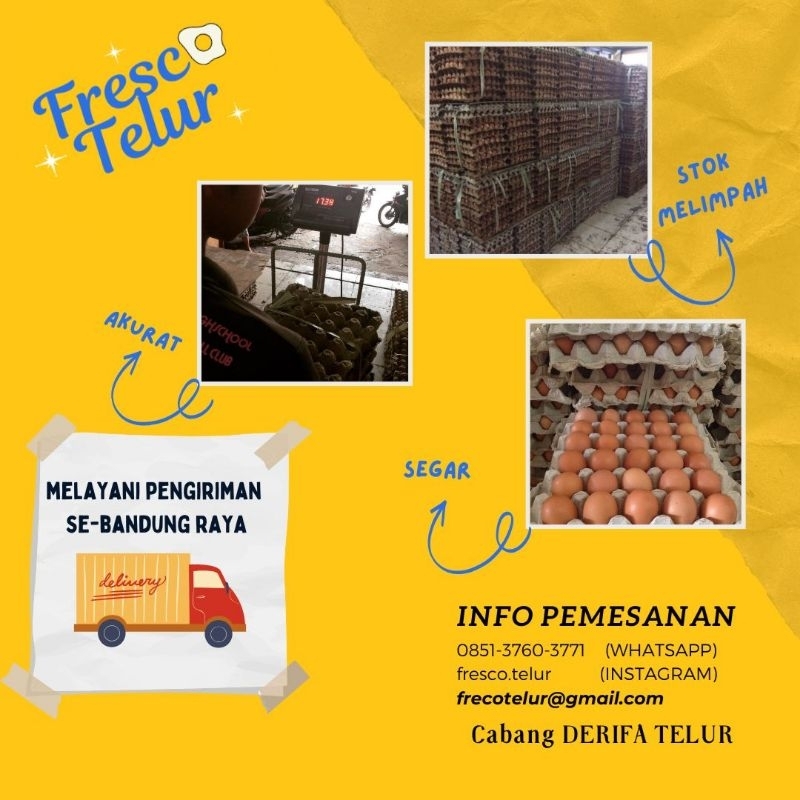

Telur Ayam Negeri kemasan 10 butir