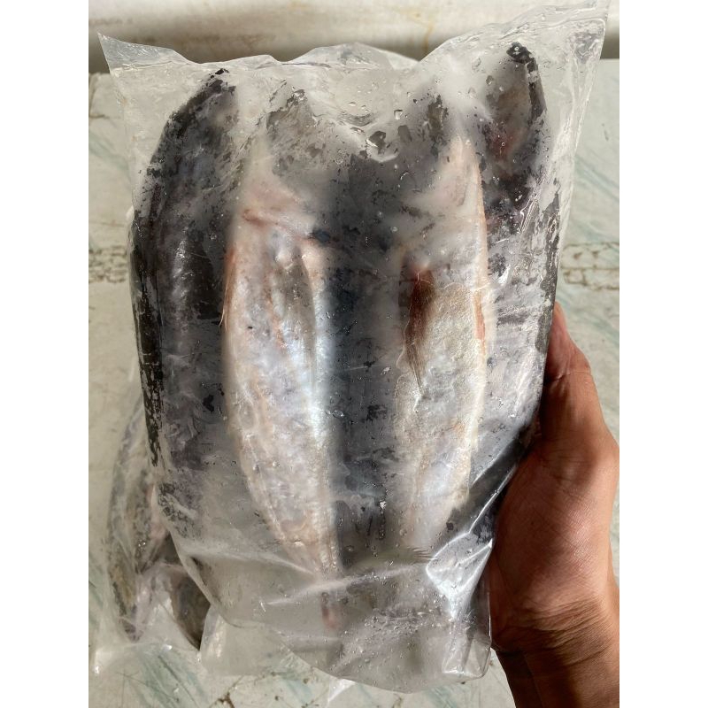 

ikan Serai