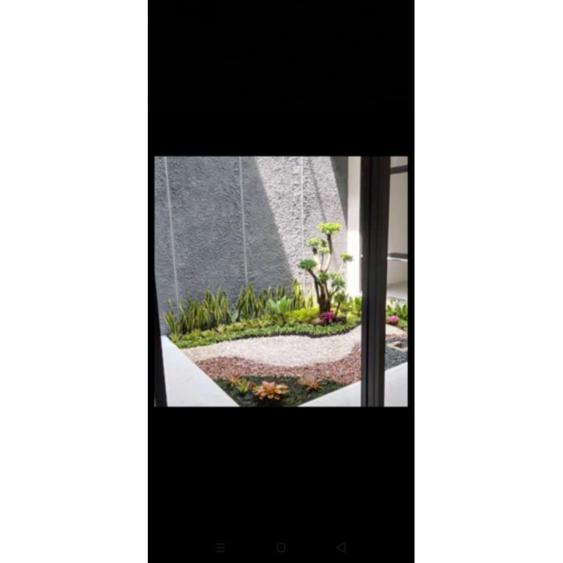 taman kering batu koral minimalis