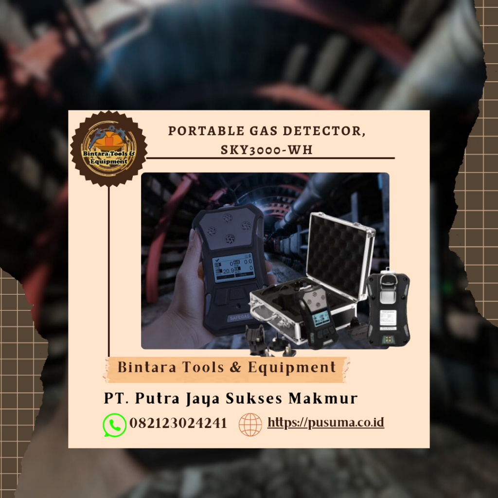 Portable Gas Detector, SKY3000-WH, Portable Pumping - Safe gas