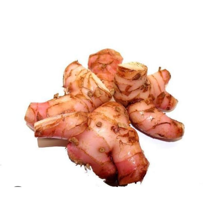 

Lengkuas lokal bagus 250 gr