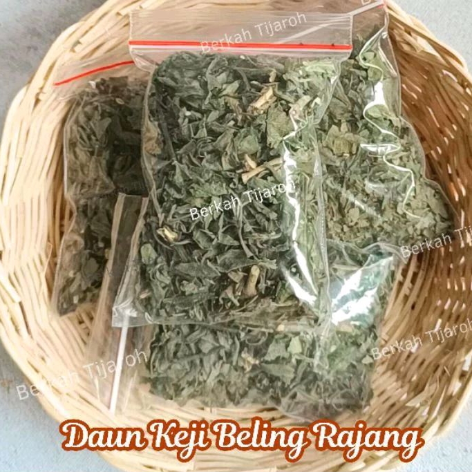 

Daun pecah beling kering atasi batu ginjal