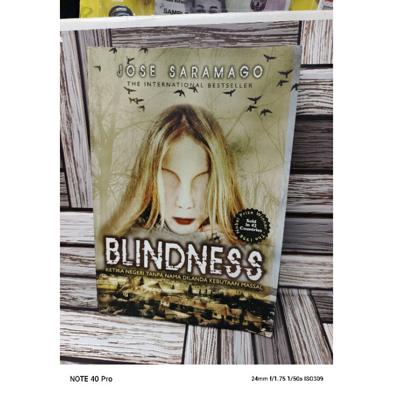 Novel Blindness Ketika Negeri Tanpa Nama Dilanda Kebutaan Masal Karya Jose Saramago Original