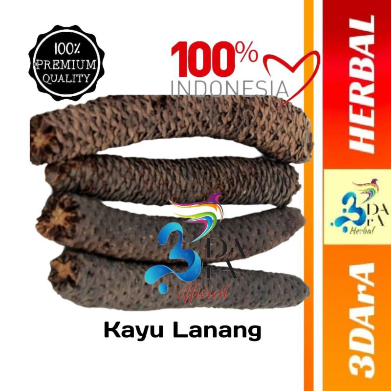 

Kayu Lanang Kering - Herbal Kayu Lanang Kering Premium