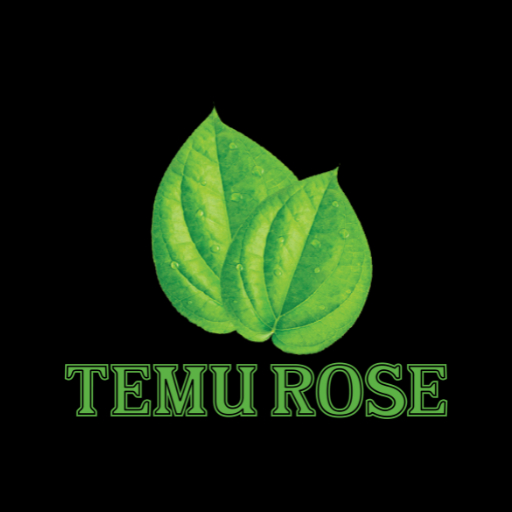 

DAUN SIRIH TEMU ROSE DAUN PILIHAN