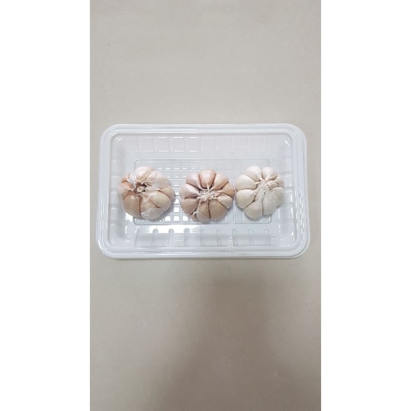 

Bawang Putih