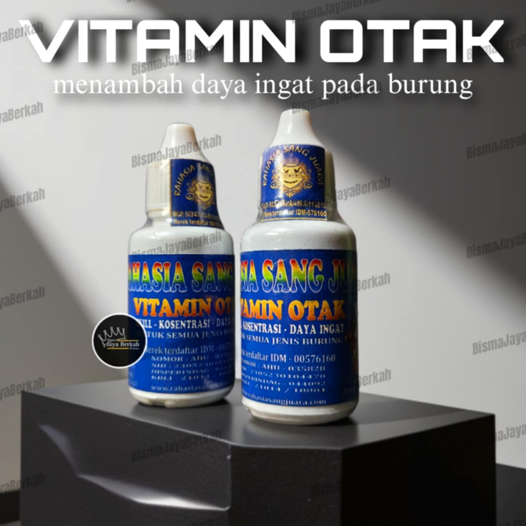 VITAMIN OTAK BURUNG | MENAMBAH DAYA INGAT BURUNG LEBIH TAJAM MEMPERMUDAH SKILL DAN DAYA KONSENTRASI