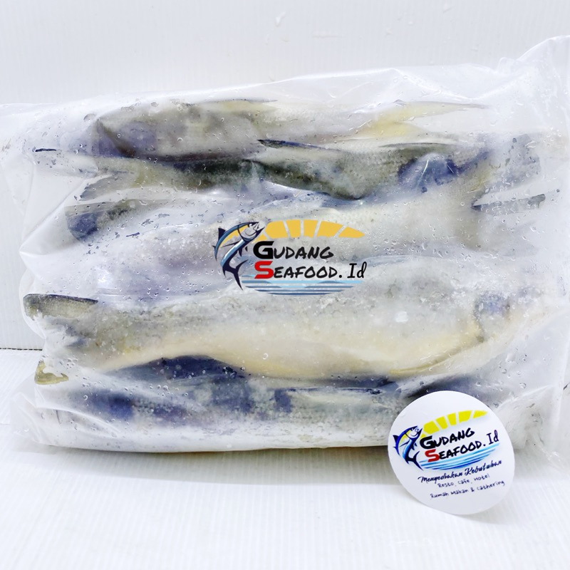 

ikan senangin per bungkus (potong bersih) 8-9 ekor per kg