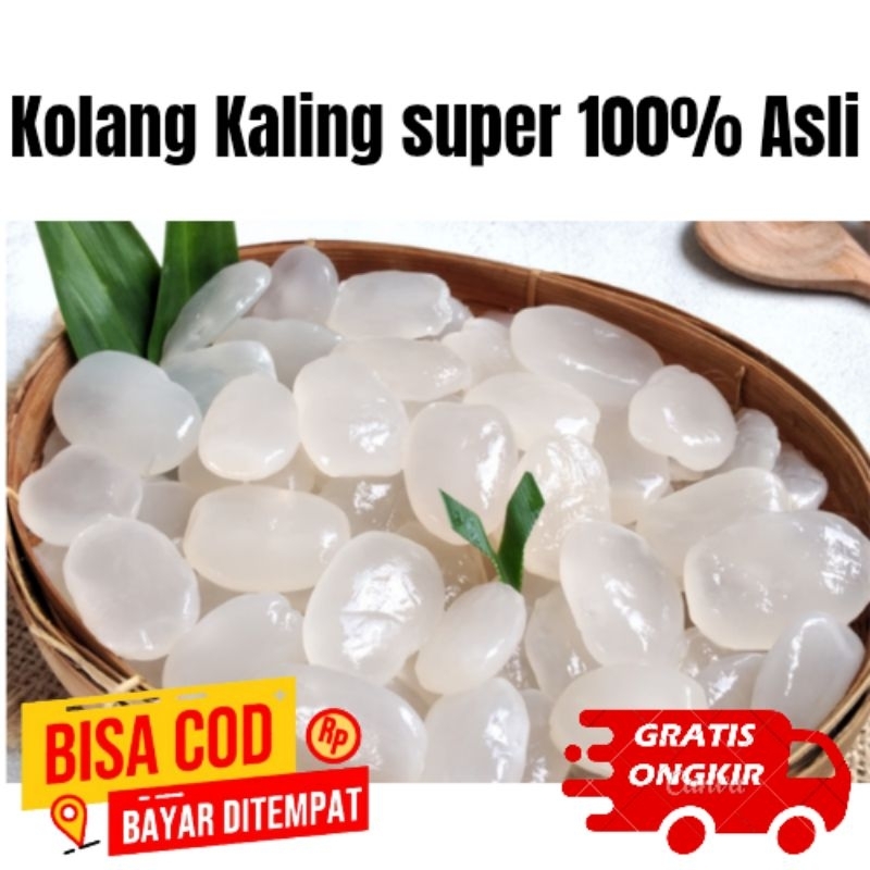 

KOLANG KALING SEGAR 1 KG 100% ASLI KOLANG KALING FRESH 1 KG