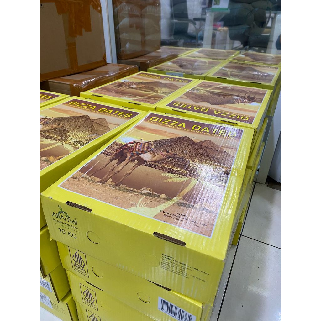 

KURMA GIZZA DATES PER DUS 10KG