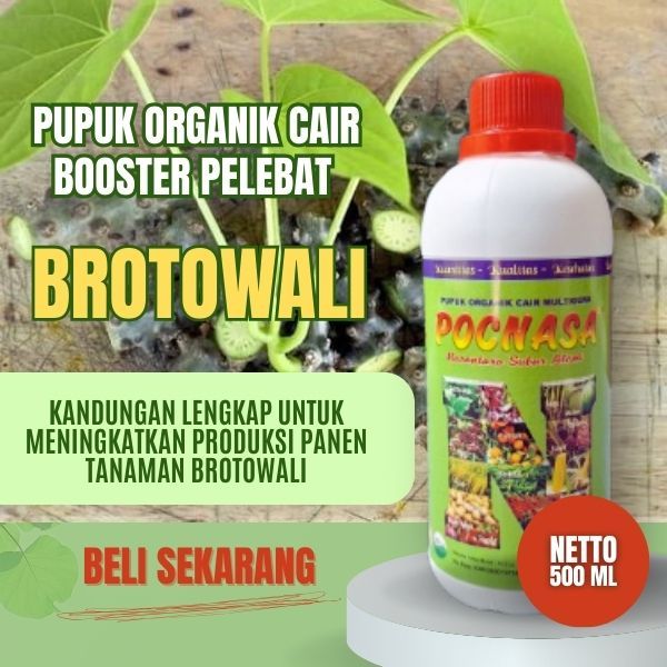 Pupuk Brotowali / Pupuk Brotowali Segar / Pupuk Cair Organik Untuk Brotowali / Penyubur Brotowali