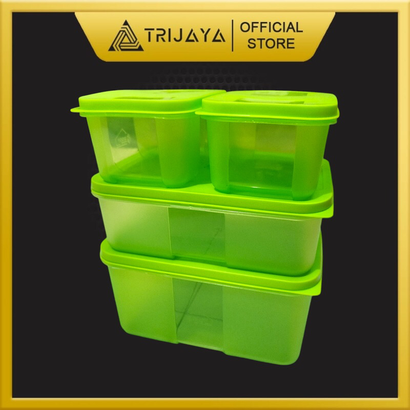 BIGGY Freezer Mate Set 4 Pcs Wadah Tempat Makanan Container Box