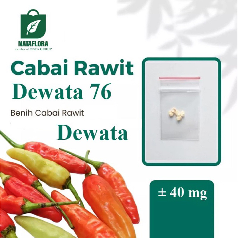 Benih Seribuan - Super Benih Cabai Rawit Dewata 76