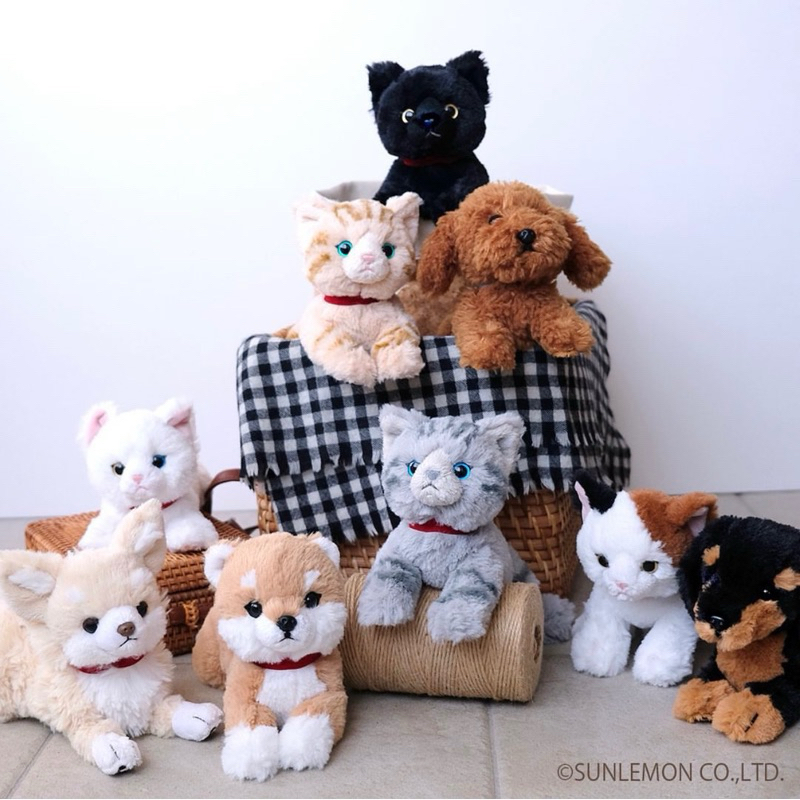 Boneka Kucing Anjing Dog Cat Sunlemon
