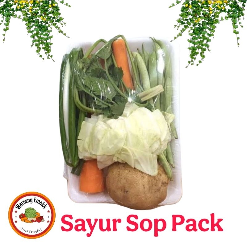 

PAKET SAYUR SOP MURAH SEGAR