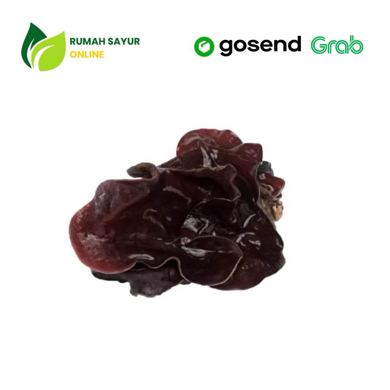 

Jamur Kupung Basah 1 Pack | Rumah Sayur Online