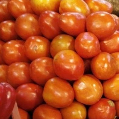 

tomat merah fresh 5kg