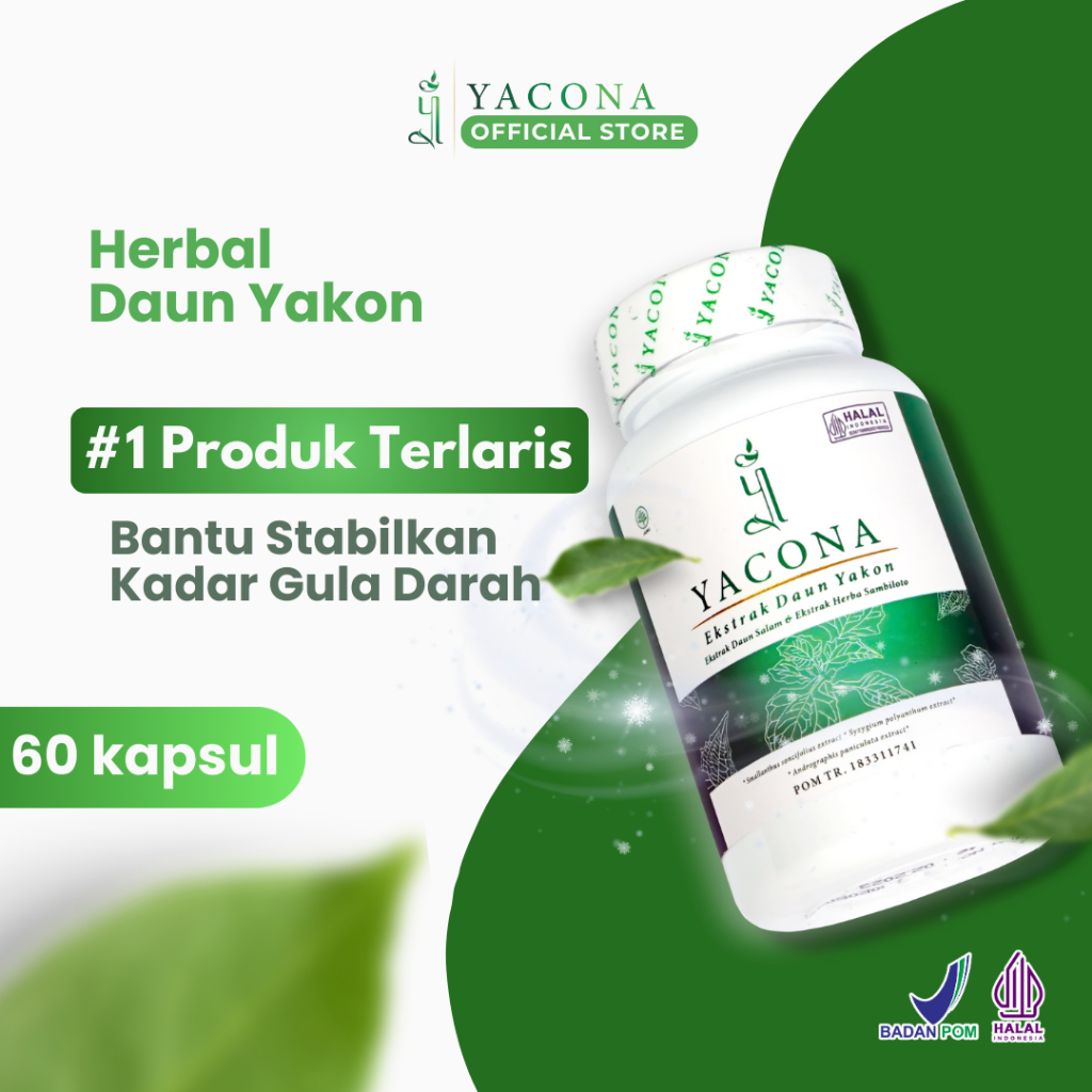 Yacona Ekstrak Daun Yakon - 1 Botol isi 60 Kapsul