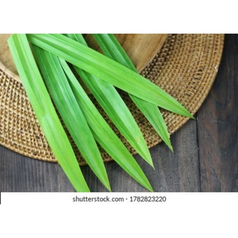

Daun pandan segar, organik dan wangi.(harga per 5 lembar)